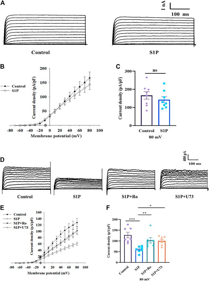 https://cdn.ncbi.nlm.nih.gov/pmc/blobs/d219/8313013/d4a33daf9ba4/fphar-12-683674-g006.jpg