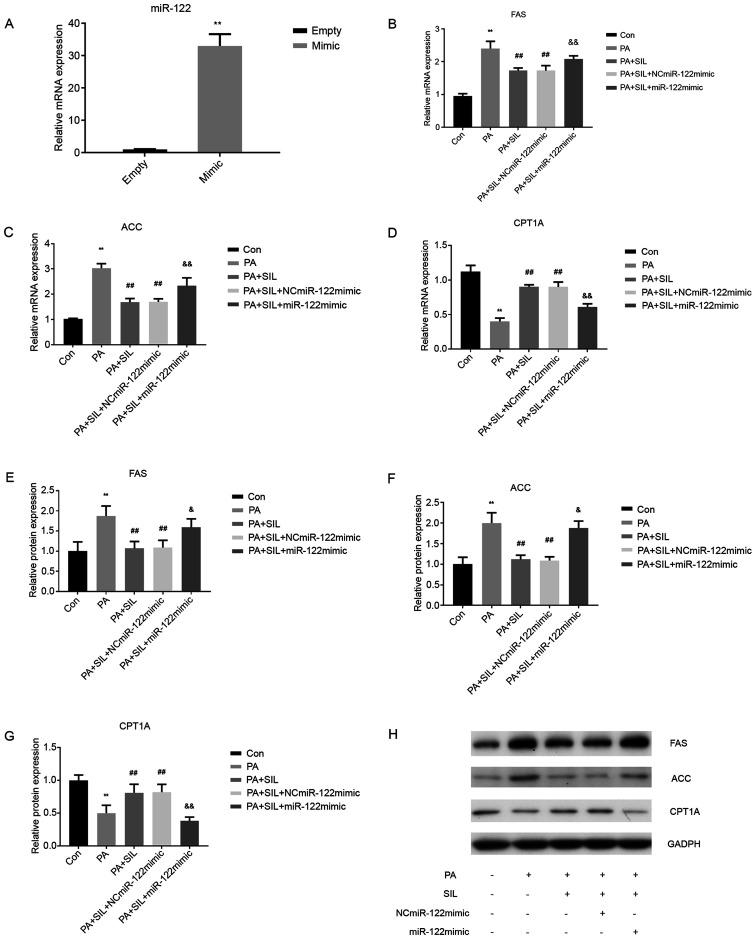 https://cdn.ncbi.nlm.nih.gov/pmc/blobs/d21a/7974327/a4ccdabf2c4f/mmr-23-05-11974-g08.jpg