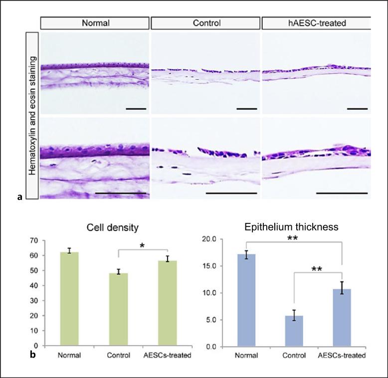 https://cdn.ncbi.nlm.nih.gov/pmc/blobs/d21c/9909721/39ef284026ff/goi-0087-0333-g06.jpg