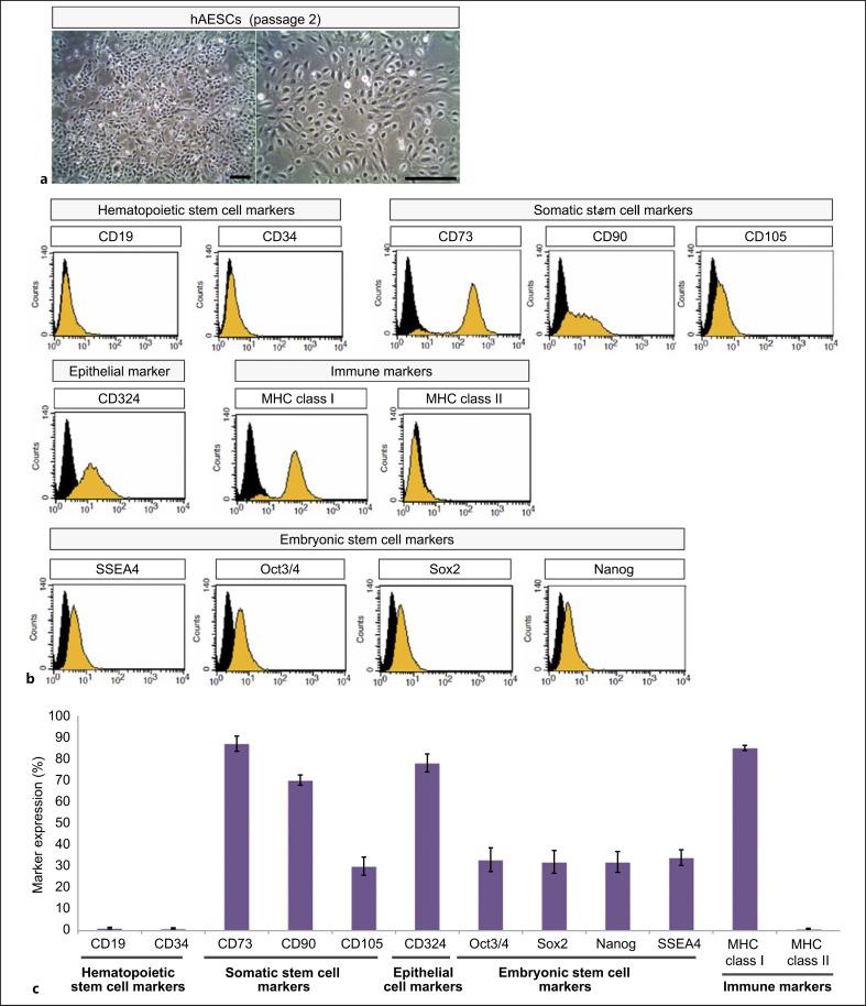 https://cdn.ncbi.nlm.nih.gov/pmc/blobs/d21c/9909721/6e1482702b48/goi-0087-0333-g02.jpg