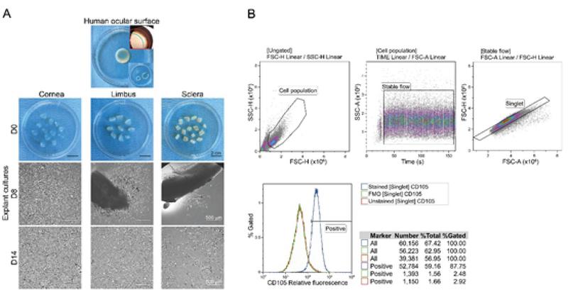 https://cdn.ncbi.nlm.nih.gov/pmc/blobs/d21d/7591840/e8b3984d35f0/jovr-15-493-g001.jpg