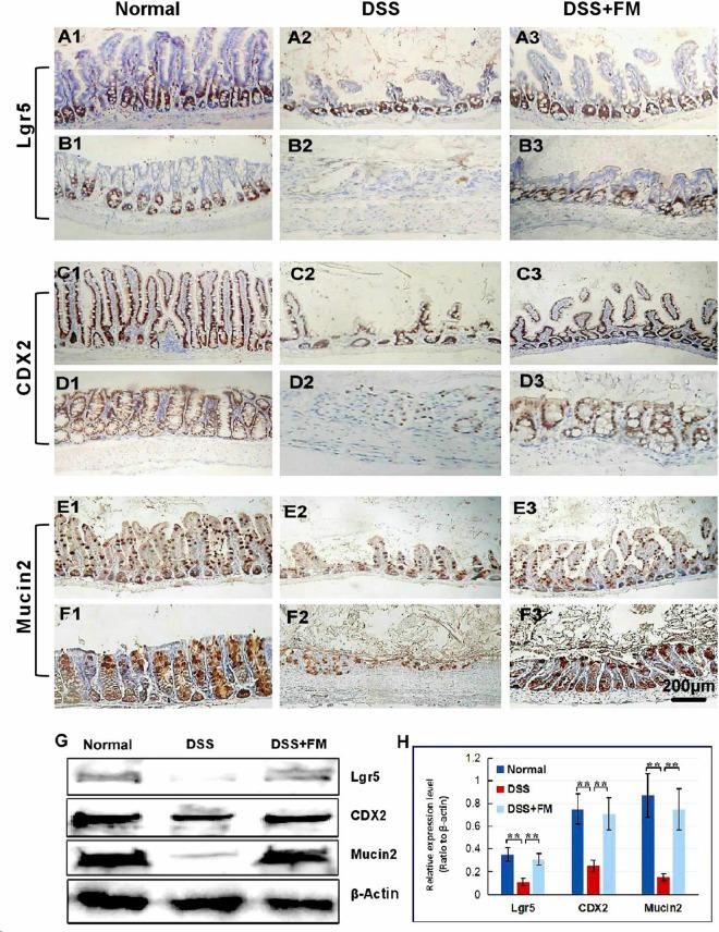 https://cdn.ncbi.nlm.nih.gov/pmc/blobs/d21d/7845695/417104d6c471/fmicb-11-622354-g003.jpg