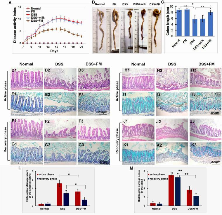 https://cdn.ncbi.nlm.nih.gov/pmc/blobs/d21d/7845695/c3264823ee8c/fmicb-11-622354-g001.jpg