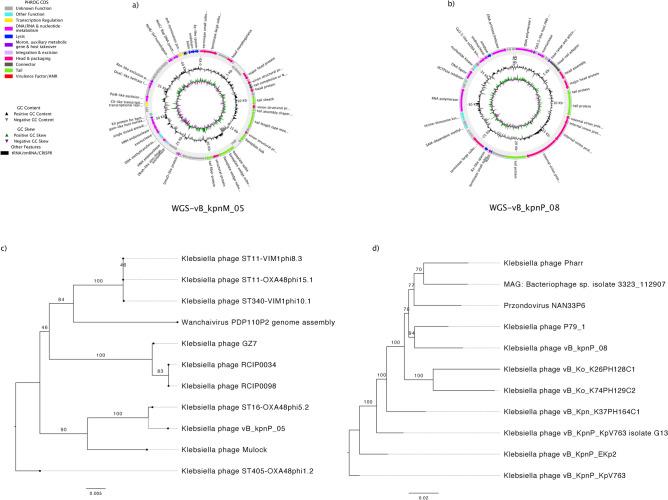 https://cdn.ncbi.nlm.nih.gov/pmc/blobs/d21e/11584731/2a3d24b26b47/41598_2024_79924_Fig4_HTML.jpg