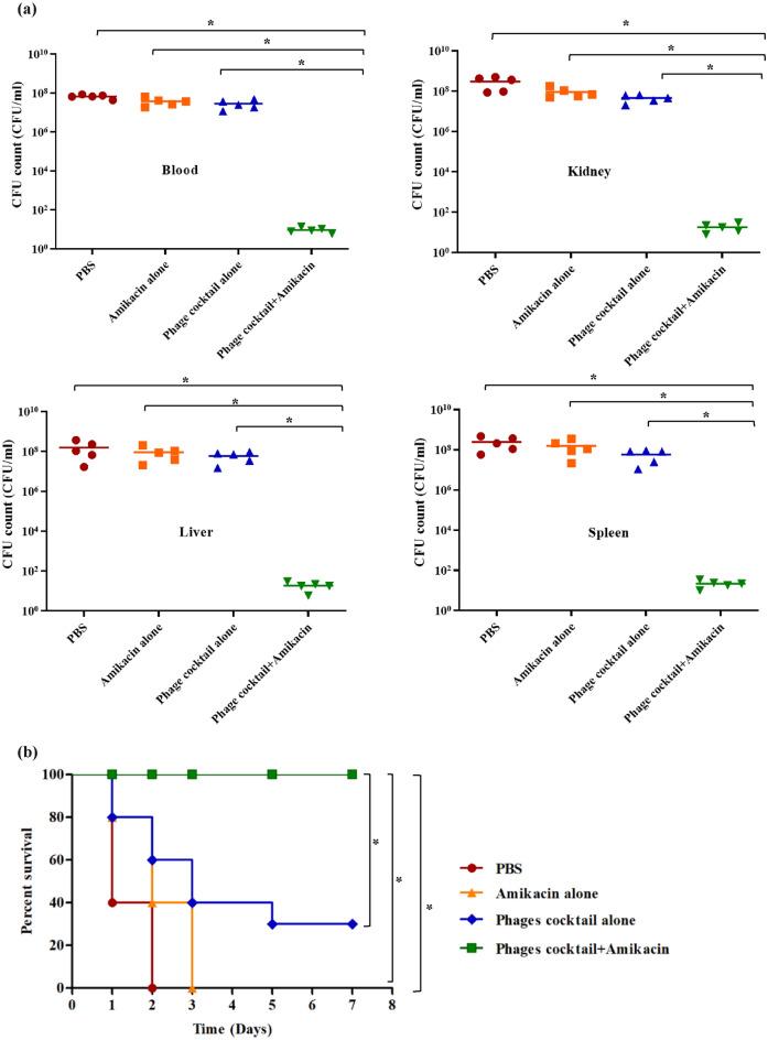 https://cdn.ncbi.nlm.nih.gov/pmc/blobs/d21e/11584731/4fd0133676bb/41598_2024_79924_Fig7_HTML.jpg