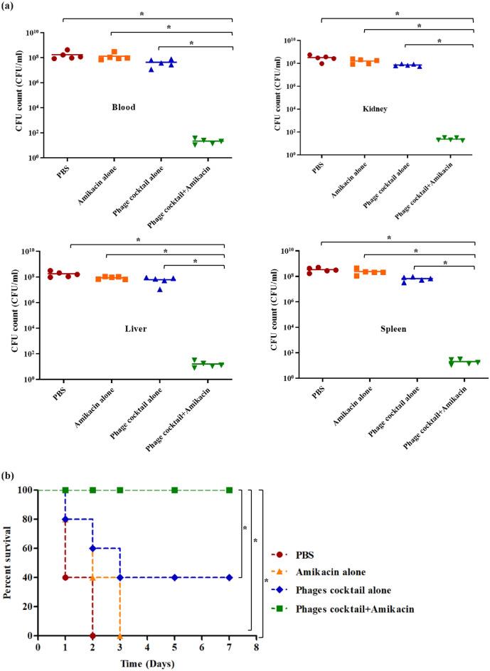 https://cdn.ncbi.nlm.nih.gov/pmc/blobs/d21e/11584731/61a23d8f2f9a/41598_2024_79924_Fig8_HTML.jpg