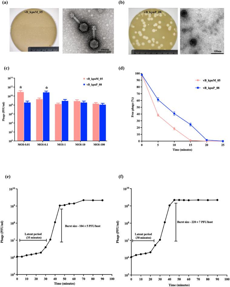 https://cdn.ncbi.nlm.nih.gov/pmc/blobs/d21e/11584731/b9f4c7fd9cca/41598_2024_79924_Fig2_HTML.jpg