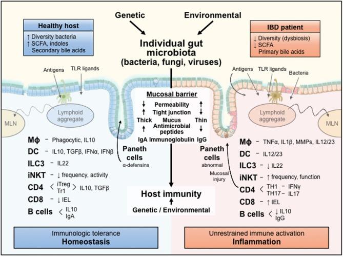 https://cdn.ncbi.nlm.nih.gov/pmc/blobs/d21e/7040030/f7317c7fe9cc/fimmu-11-00214-g0001.jpg