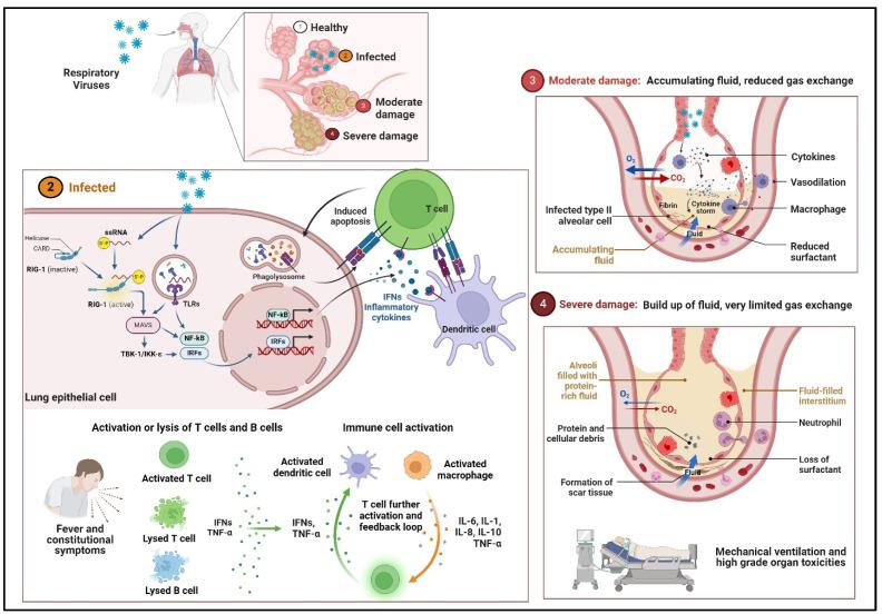 https://cdn.ncbi.nlm.nih.gov/pmc/blobs/d21f/11360283/db3faed98e36/vaccines-12-00936-g002.jpg
