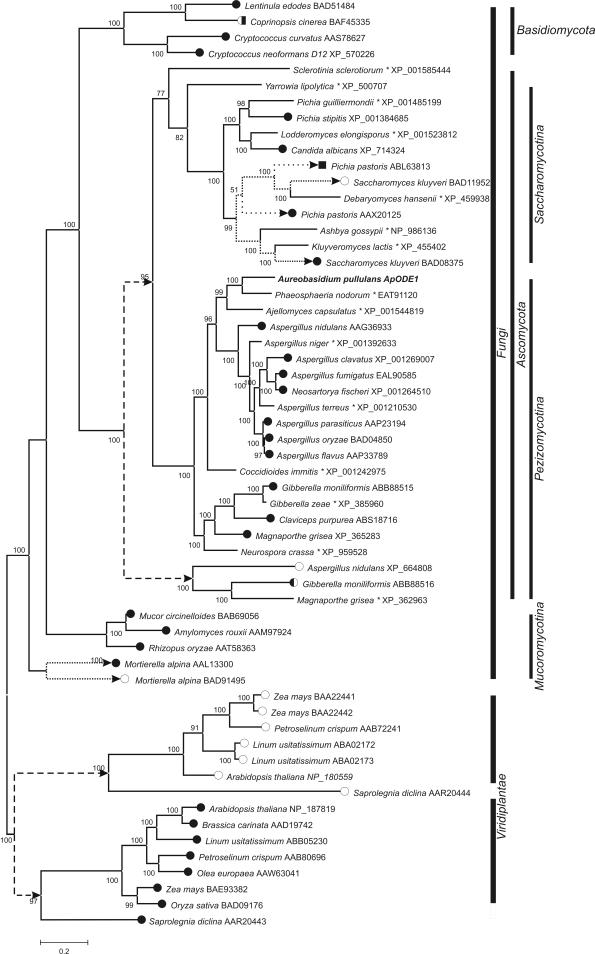 https://cdn.ncbi.nlm.nih.gov/pmc/blobs/d220/2610307/518c1e65eeea/51fig3.jpg
