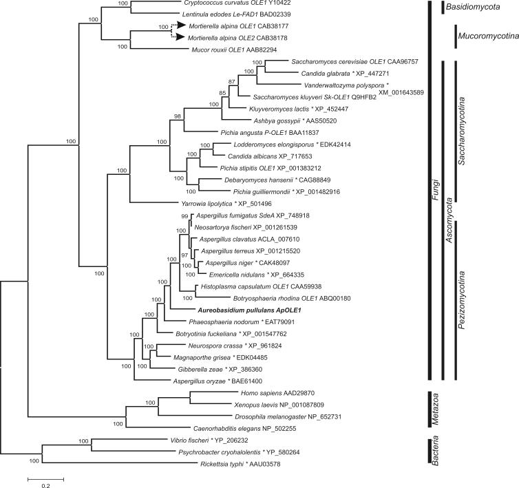 https://cdn.ncbi.nlm.nih.gov/pmc/blobs/d220/2610307/bf5cdfbf93f0/51fig2.jpg