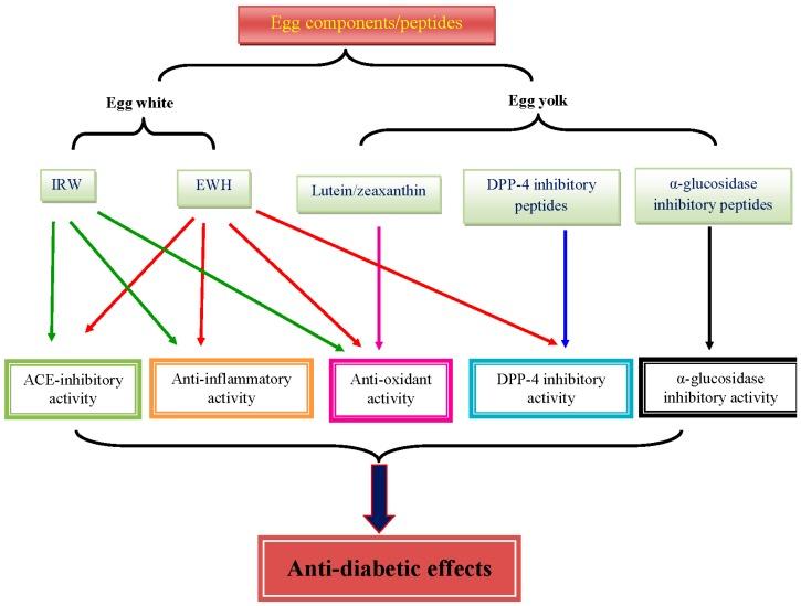 https://cdn.ncbi.nlm.nih.gov/pmc/blobs/d220/6413102/bcdef9331cb0/nutrients-11-00357-g001.jpg