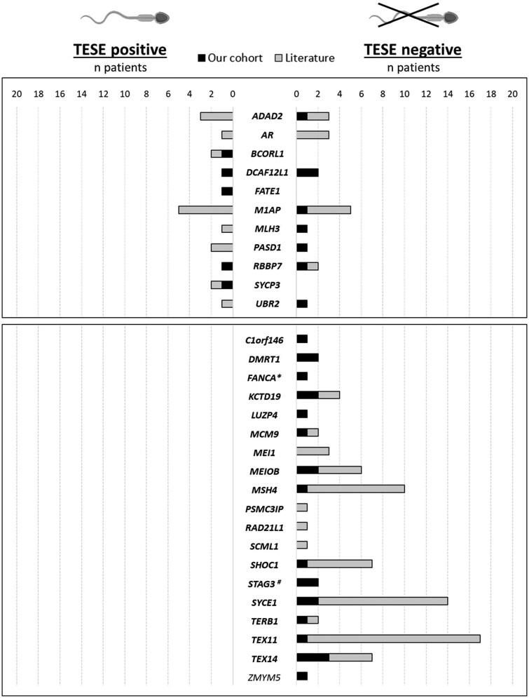 https://cdn.ncbi.nlm.nih.gov/pmc/blobs/d221/12396851/299815c7ddda/hoaf049f4.jpg