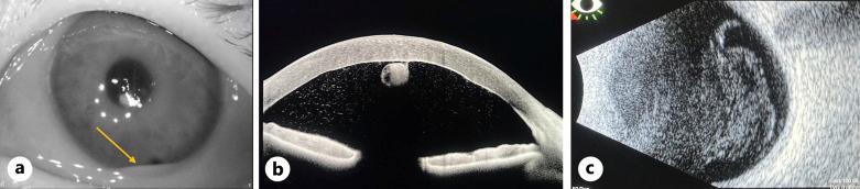 https://cdn.ncbi.nlm.nih.gov/pmc/blobs/d222/11501103/4983a535e4a2/cop-2024-0015-0001-541644_F01.jpg