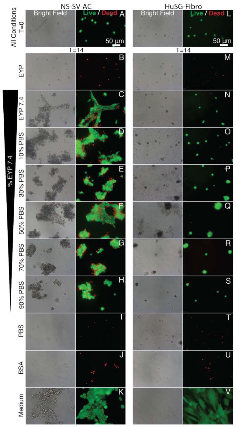 https://cdn.ncbi.nlm.nih.gov/pmc/blobs/d223/7672643/08aca72be42f/materials-13-04807-g0A5.jpg