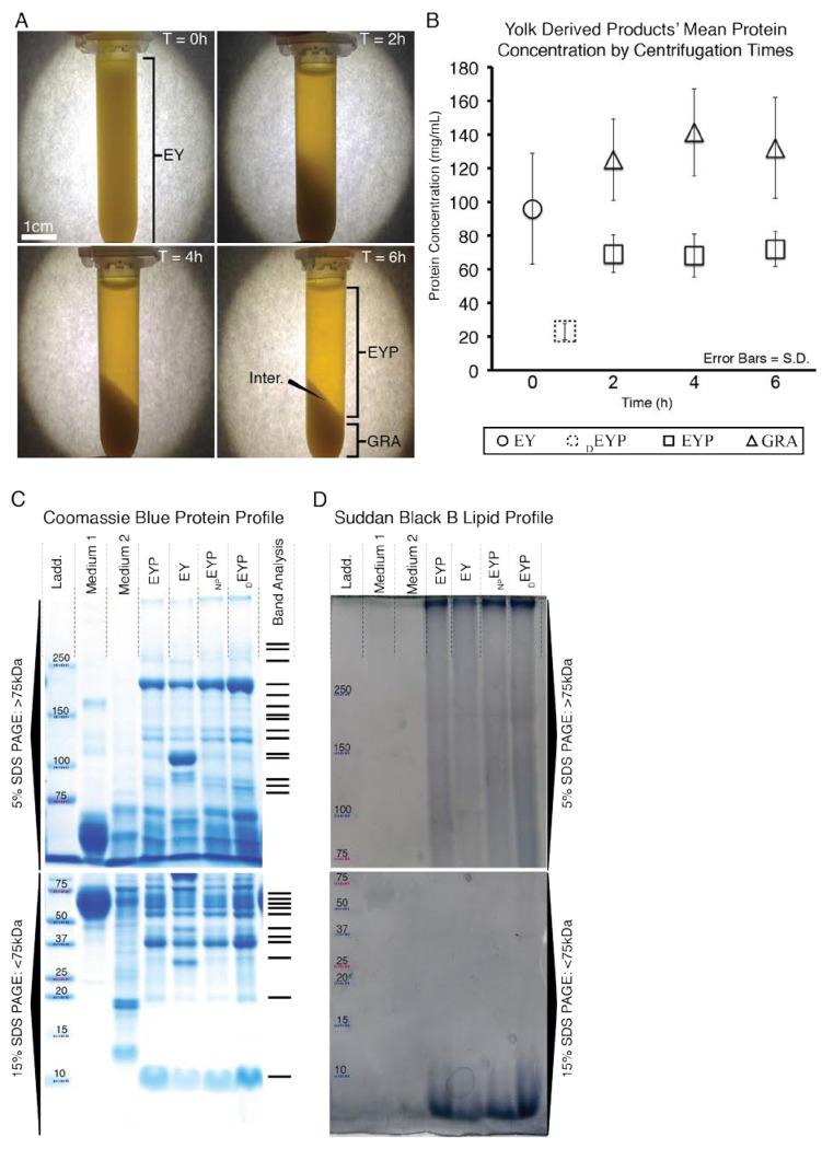 https://cdn.ncbi.nlm.nih.gov/pmc/blobs/d223/7672643/32f03f6cbbfc/materials-13-04807-g001.jpg