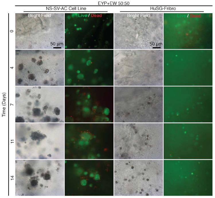 https://cdn.ncbi.nlm.nih.gov/pmc/blobs/d223/7672643/988051d53522/materials-13-04807-g005.jpg
