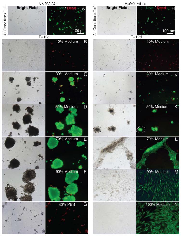 https://cdn.ncbi.nlm.nih.gov/pmc/blobs/d223/7672643/d96760c1f19e/materials-13-04807-g0A4.jpg