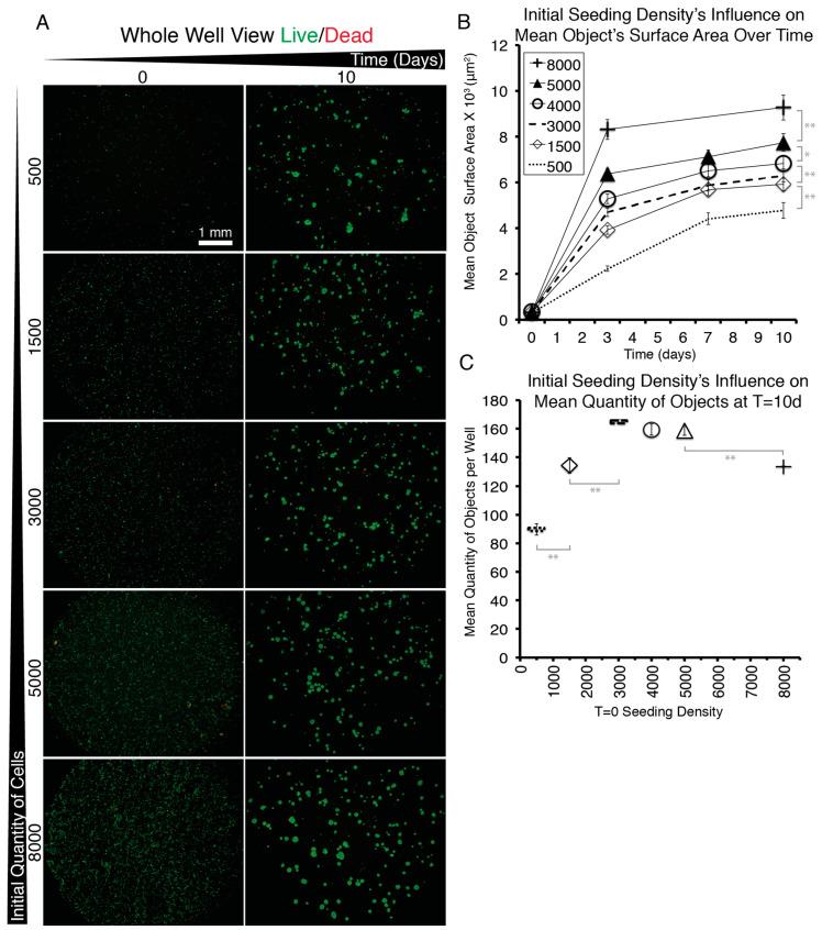 https://cdn.ncbi.nlm.nih.gov/pmc/blobs/d223/7672643/e41b01f7cf16/materials-13-04807-g0A7.jpg