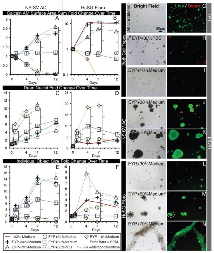 https://cdn.ncbi.nlm.nih.gov/pmc/blobs/d223/7672643/e762bed43279/materials-13-04807-g002.jpg
