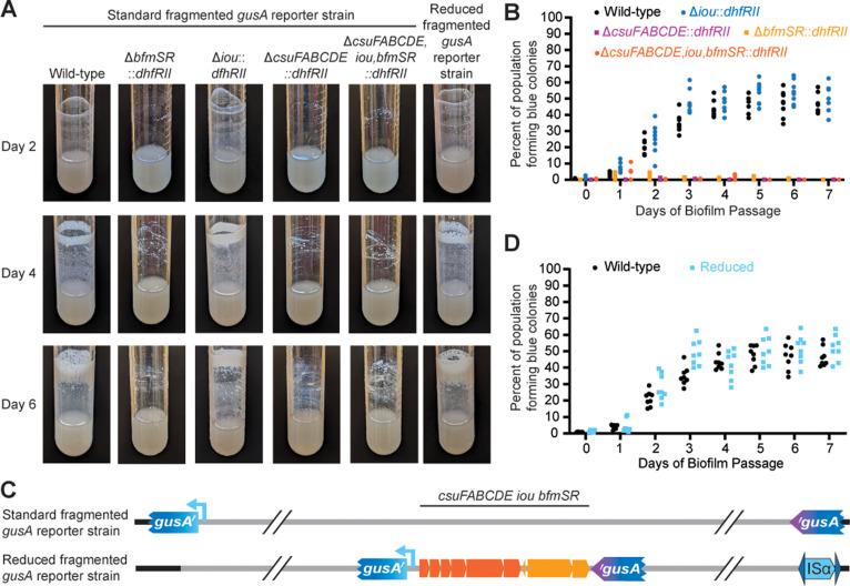 https://cdn.ncbi.nlm.nih.gov/pmc/blobs/d224/12124856/5ae8371a4796/pgen.1011528.g003.jpg