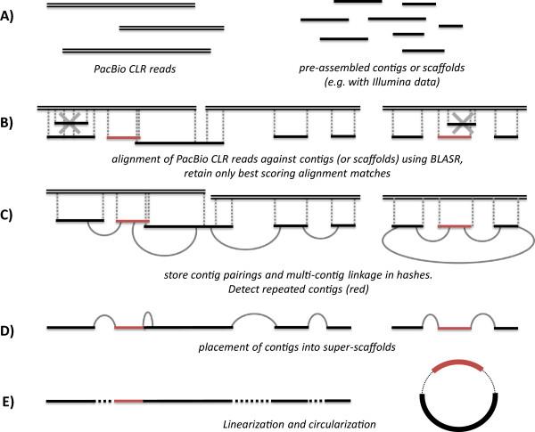 https://cdn.ncbi.nlm.nih.gov/pmc/blobs/d224/4076250/cf05c2d3ca4f/1471-2105-15-211-2.jpg