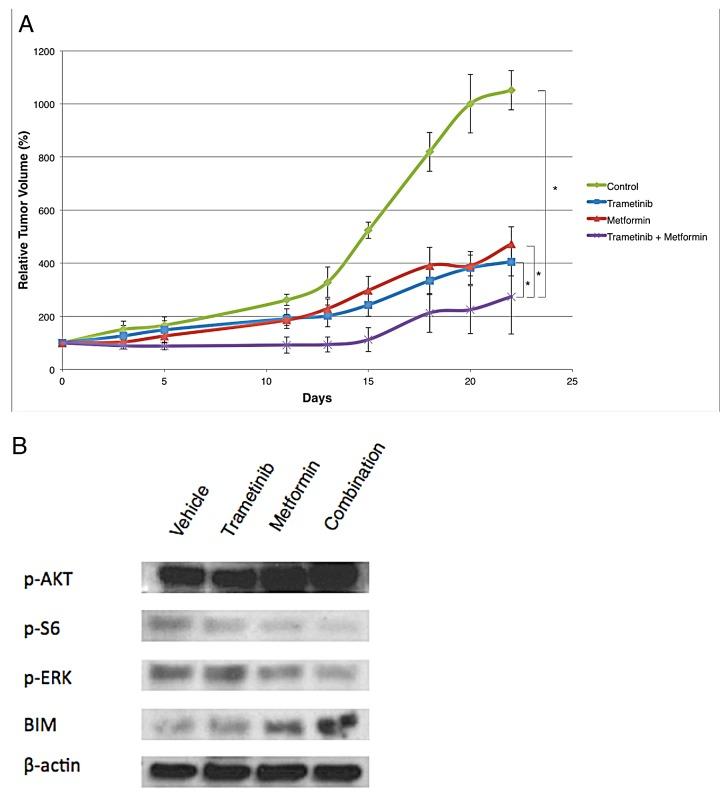 https://cdn.ncbi.nlm.nih.gov/pmc/blobs/d224/4359268/19fb0d3a05b9/oncotarget-06-969-g004.jpg