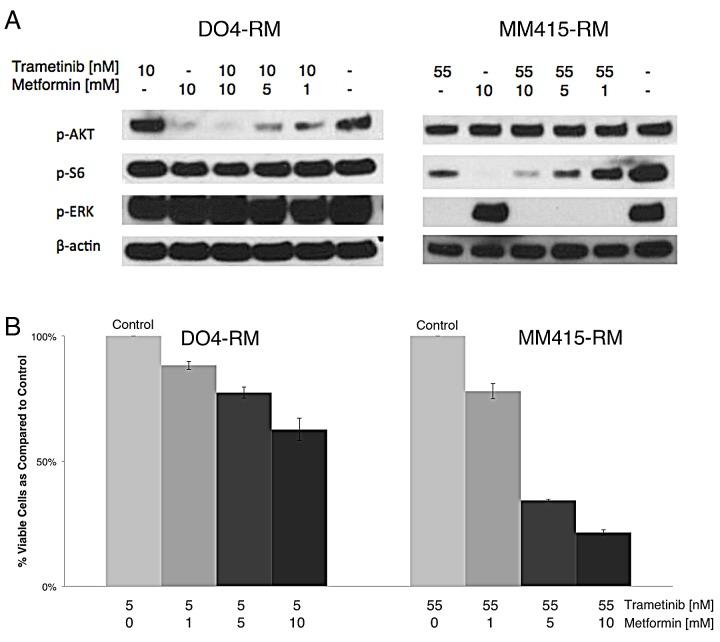 https://cdn.ncbi.nlm.nih.gov/pmc/blobs/d224/4359268/db14ffbdb4a8/oncotarget-06-969-g003.jpg