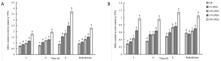 https://cdn.ncbi.nlm.nih.gov/pmc/blobs/d225/10305440/8a90720e8da0/plants-12-02296-g005.jpg