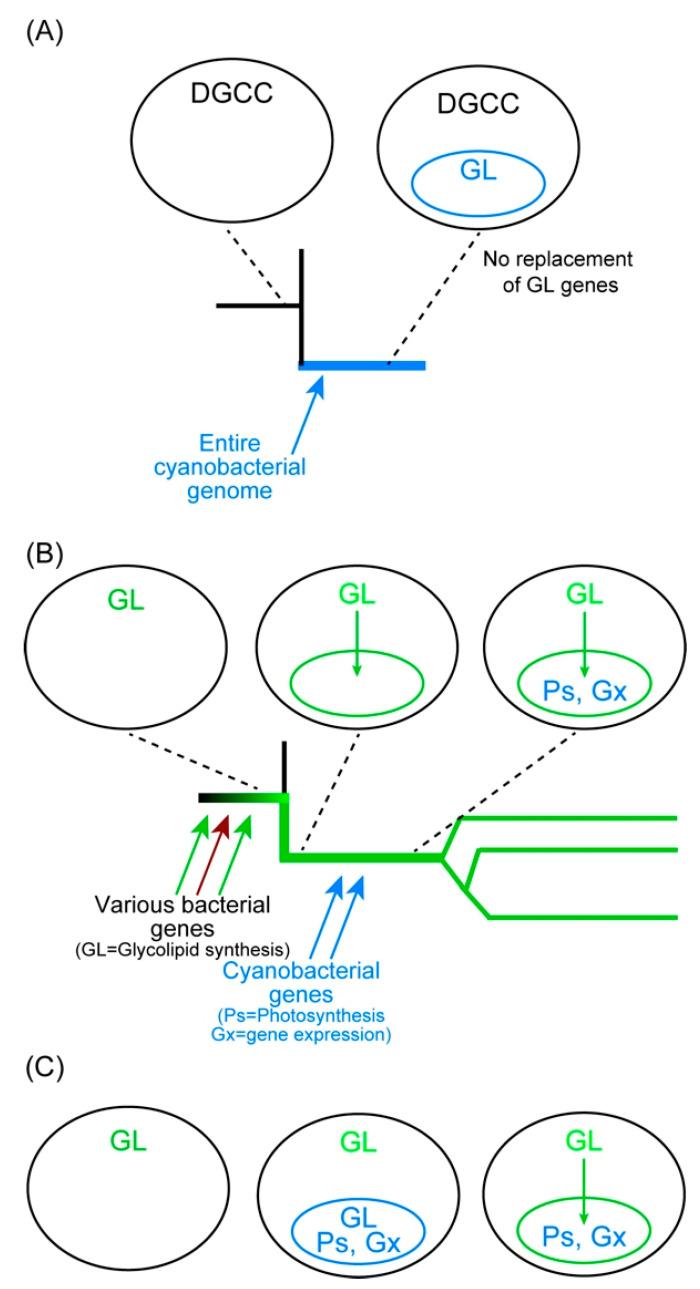 https://cdn.ncbi.nlm.nih.gov/pmc/blobs/d225/8227023/8b67066428be/genes-12-00823-g005.jpg
