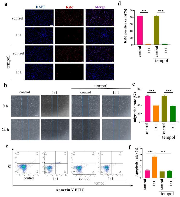 https://cdn.ncbi.nlm.nih.gov/pmc/blobs/d226/9776926/2f62402827e7/cells-11-04024-g004.jpg