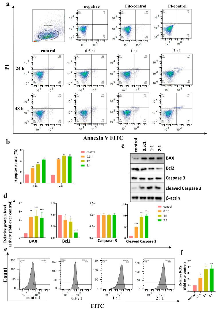 https://cdn.ncbi.nlm.nih.gov/pmc/blobs/d226/9776926/683dcb4b04df/cells-11-04024-g003.jpg
