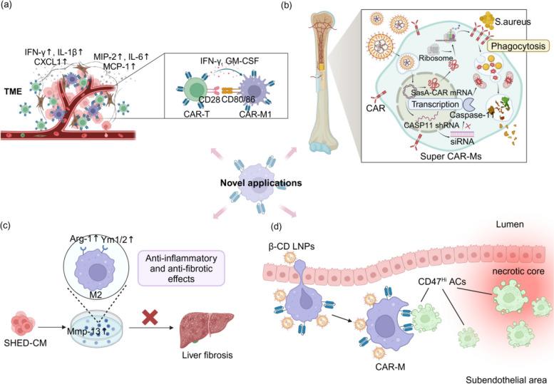 https://cdn.ncbi.nlm.nih.gov/pmc/blobs/d227/11342599/7afa43f23799/40364_2024_637_Fig4_HTML.jpg