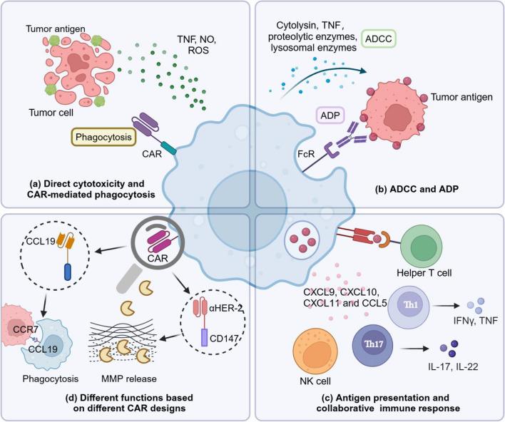 https://cdn.ncbi.nlm.nih.gov/pmc/blobs/d227/11342599/f9837e1a8871/40364_2024_637_Fig2_HTML.jpg