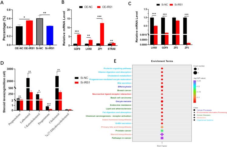 https://cdn.ncbi.nlm.nih.gov/pmc/blobs/d227/12405413/5525d43f7db8/10565_2025_10079_Fig6_HTML.jpg