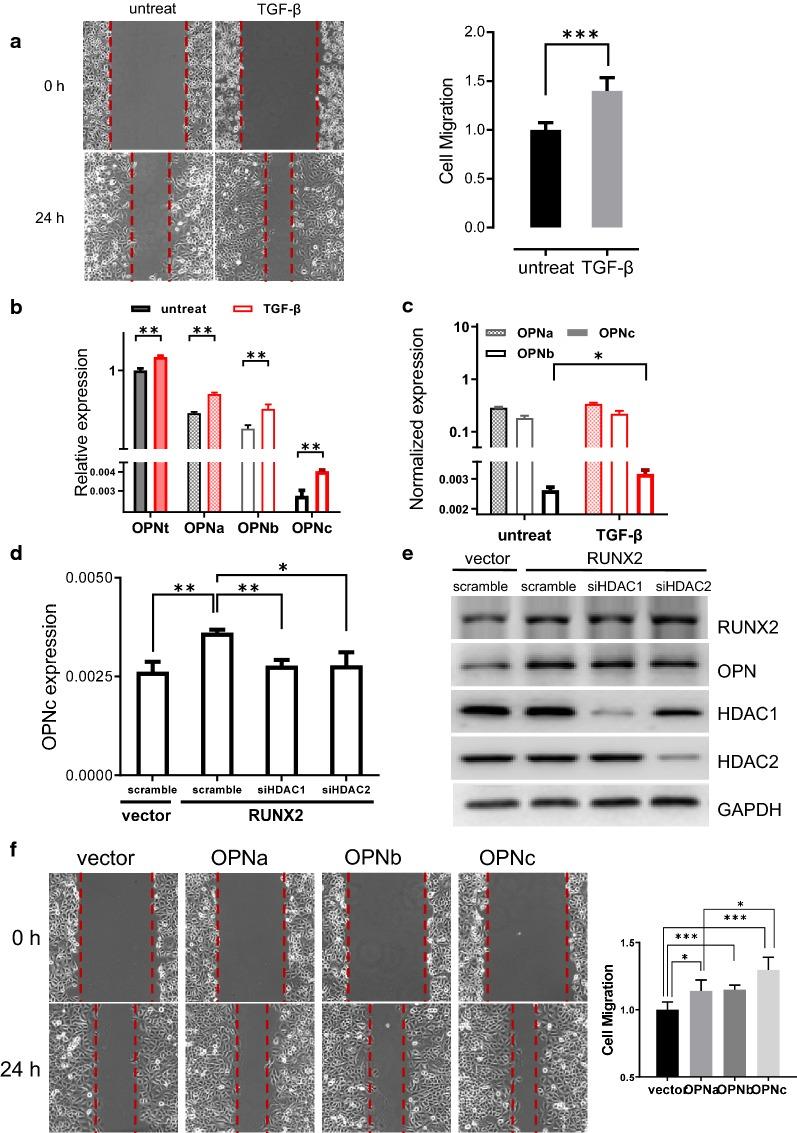 https://cdn.ncbi.nlm.nih.gov/pmc/blobs/d22b/6873507/3efb10eb0183/12935_2019_1033_Fig6_HTML.jpg