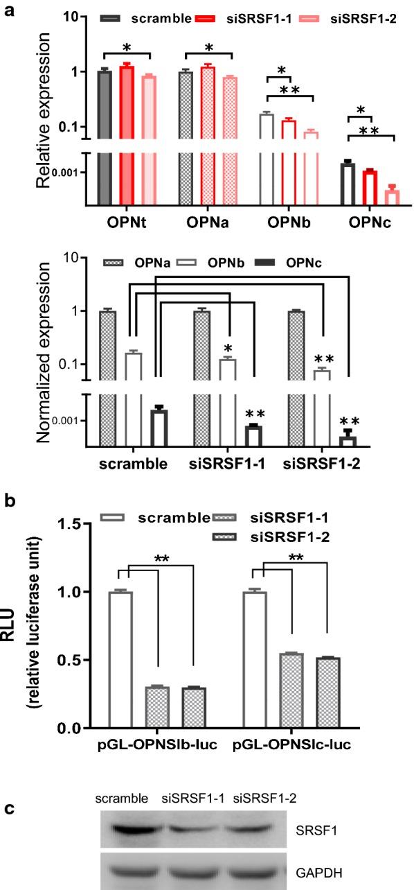 https://cdn.ncbi.nlm.nih.gov/pmc/blobs/d22b/6873507/5bb4425a473a/12935_2019_1033_Fig3_HTML.jpg