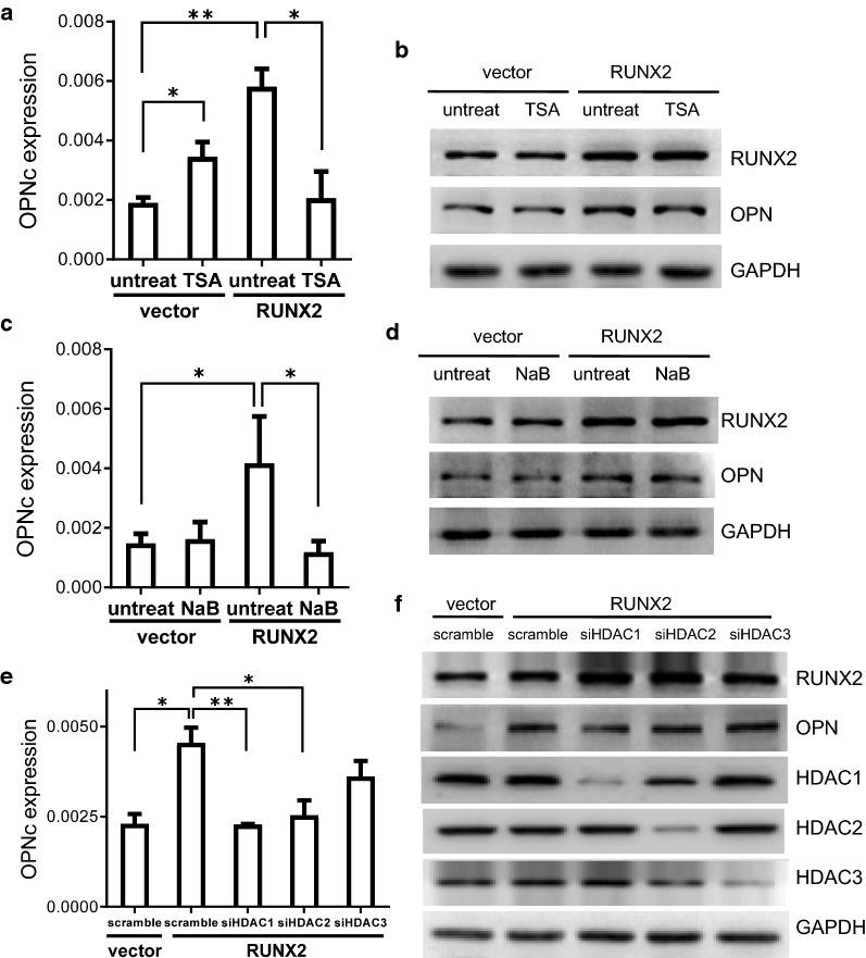 https://cdn.ncbi.nlm.nih.gov/pmc/blobs/d22b/6873507/d705fce8a752/12935_2019_1033_Fig4_HTML.jpg