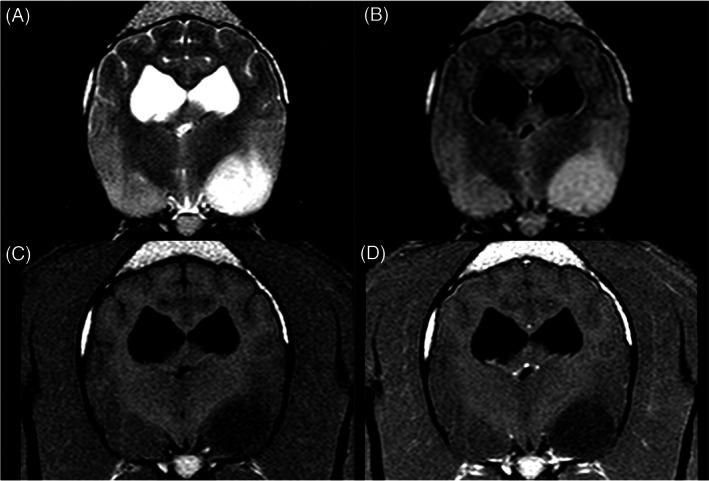 https://cdn.ncbi.nlm.nih.gov/pmc/blobs/d22b/9708455/53515e8bbb6c/JVIM-36-2104-g002.jpg