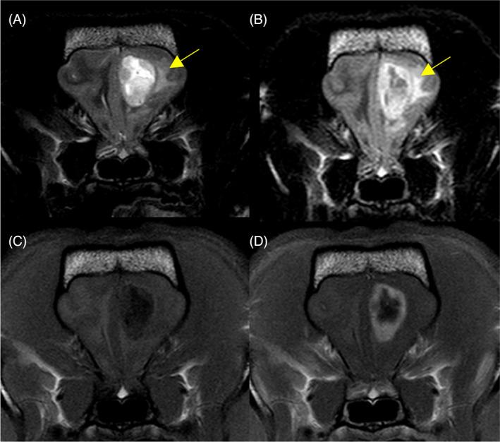 https://cdn.ncbi.nlm.nih.gov/pmc/blobs/d22b/9708455/9d67b25dc157/JVIM-36-2104-g003.jpg