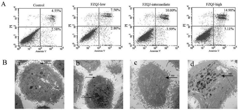 https://cdn.ncbi.nlm.nih.gov/pmc/blobs/d22c/5759932/e49651eda6c6/10.1177_1534735416654761-fig2.jpg