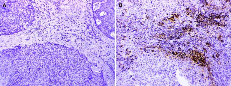 https://cdn.ncbi.nlm.nih.gov/pmc/blobs/d22f/12019619/41034236b16b/102761-g006.jpg