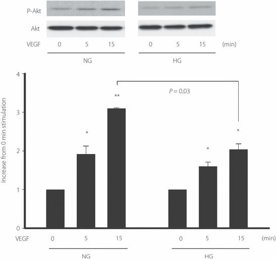https://cdn.ncbi.nlm.nih.gov/pmc/blobs/d22f/4014965/8c6e8f3c3eea/jdi-2-262-g6.jpg
