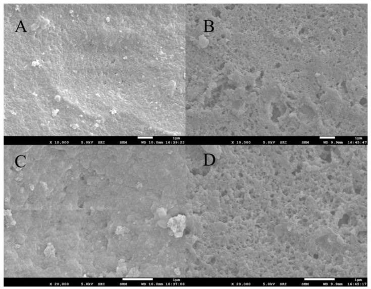 https://cdn.ncbi.nlm.nih.gov/pmc/blobs/d230/9822206/27320abcd21a/molecules-28-00310-g002.jpg