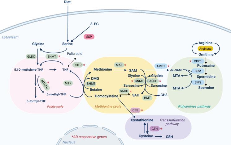 https://cdn.ncbi.nlm.nih.gov/pmc/blobs/d231/11473656/faac5a686f17/41416_2024_2762_Fig3_HTML.jpg