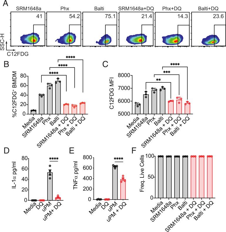 https://cdn.ncbi.nlm.nih.gov/pmc/blobs/d232/11066713/6a98852ff969/ih2300096f2.jpg