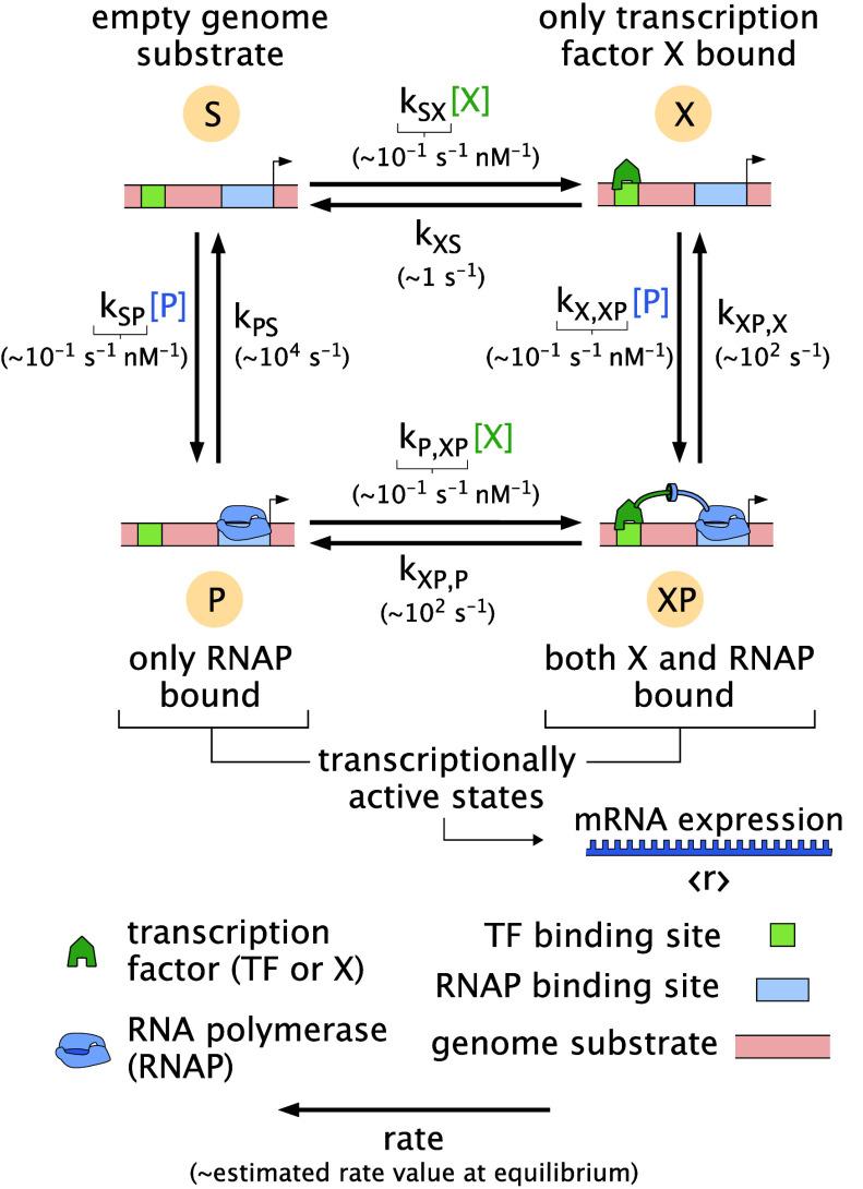 https://cdn.ncbi.nlm.nih.gov/pmc/blobs/d233/11573582/3bfae5d45579/pnas.2411395121fig01.jpg