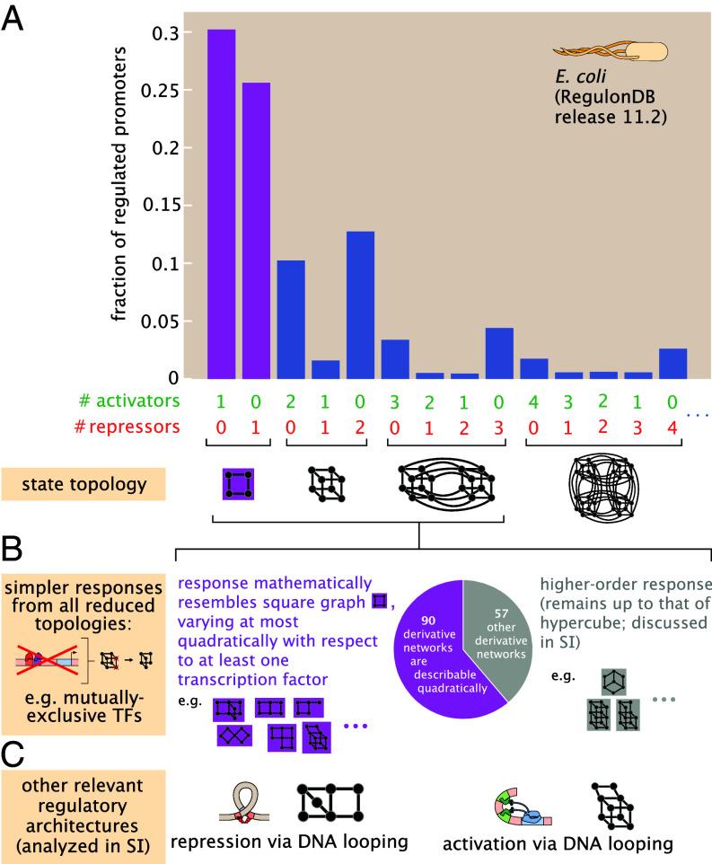 https://cdn.ncbi.nlm.nih.gov/pmc/blobs/d233/11573582/45ec2c3e86b6/pnas.2411395121fig02.jpg