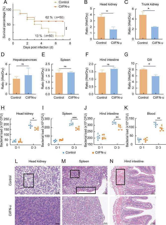 https://cdn.ncbi.nlm.nih.gov/pmc/blobs/d235/11491785/9aba7901419d/zr-45-5-972-4.jpg