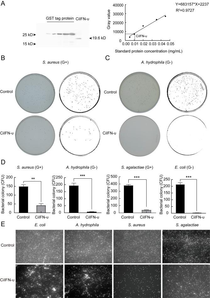 https://cdn.ncbi.nlm.nih.gov/pmc/blobs/d235/11491785/9d14066b4d45/zr-45-5-972-3.jpg